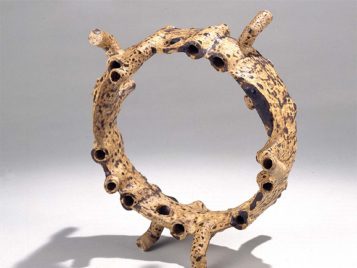 The image is of the cover of the book. The bottom half of the cover is dark red with the title and editors listed. The top half of the cover is a photograph of a piece of ceramic art that is a three dimensional loop. Around the loop, at uneven intervals are holes or tubes that seem like they belong in a pan flute or perhaps a piece of coral. The loop also has four small bent cylinders as protuberances, two of which are at the bottom and are holding up the piece. Overall the piece has earthy colors - tans and browns - as if it could be a natural object rather than something made by humans.